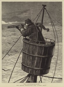 The Arctic Expedition, the Crow